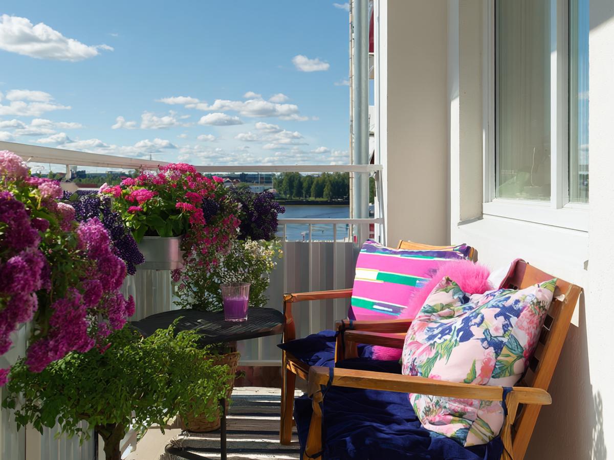 Veel Bloemen Kleurrijke Kussens Waterzicht