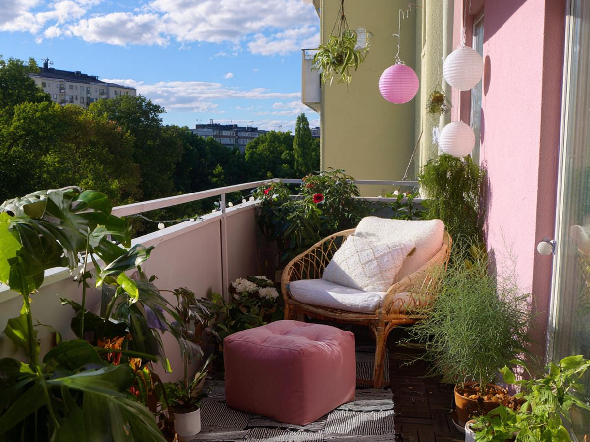 Roze Muur Rieten Stoel Planten