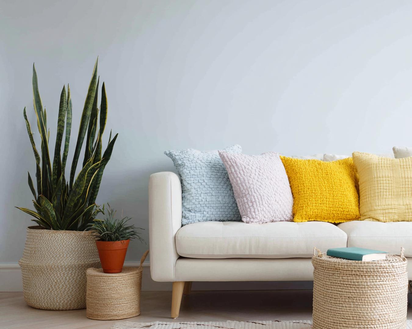 Neutrale Manden En Kussens