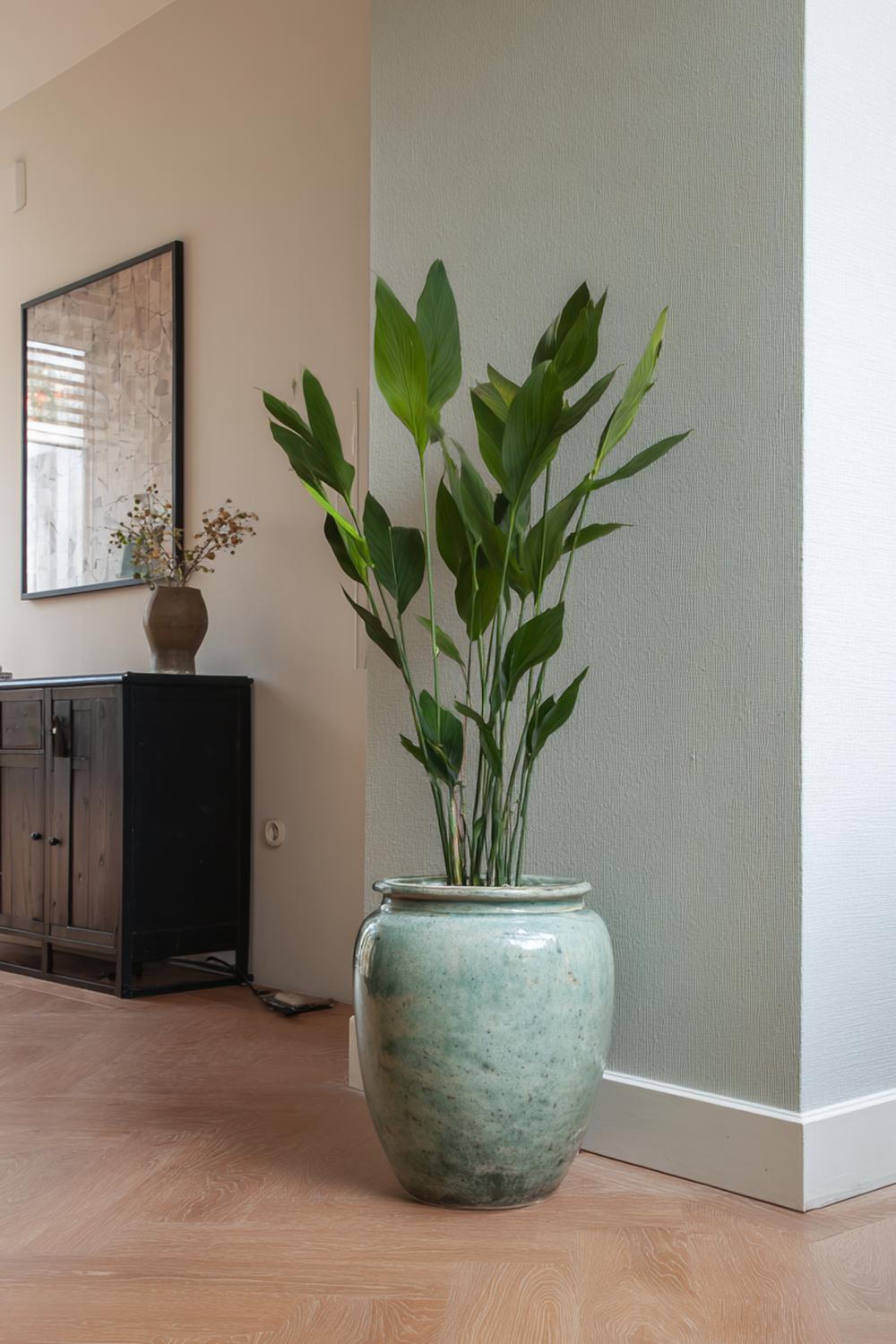 14. Japandi interiors met groene kamerplant en keramische pot