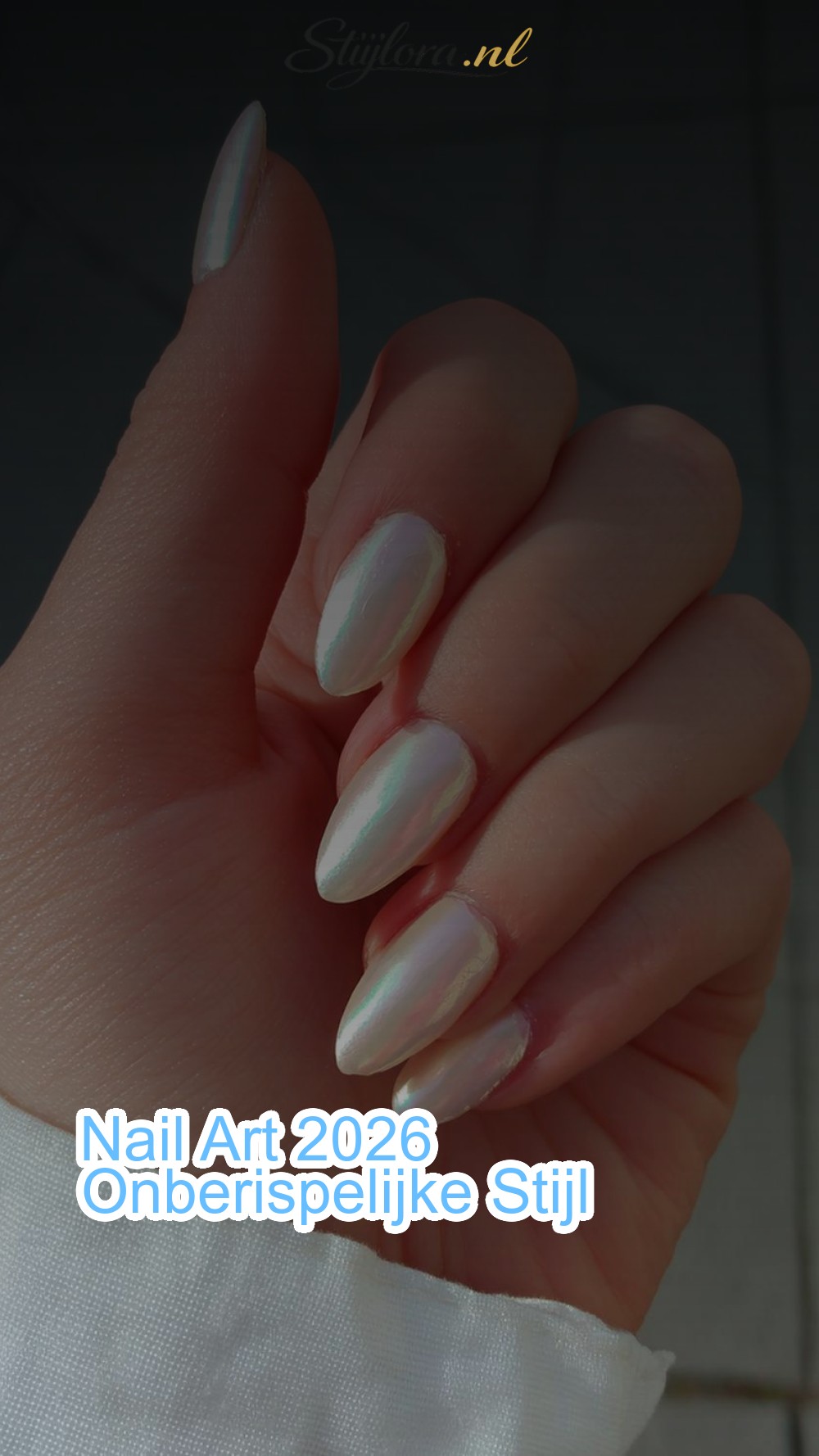 Nail Art 2026 Onberispelijke Stijl